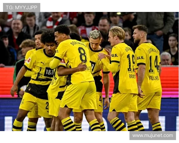 德甲球队模板大全图库及球队视觉设计分享 德甲球队模板大全图库及球队视觉设计分享